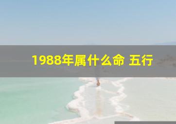 1988年属什么命 五行